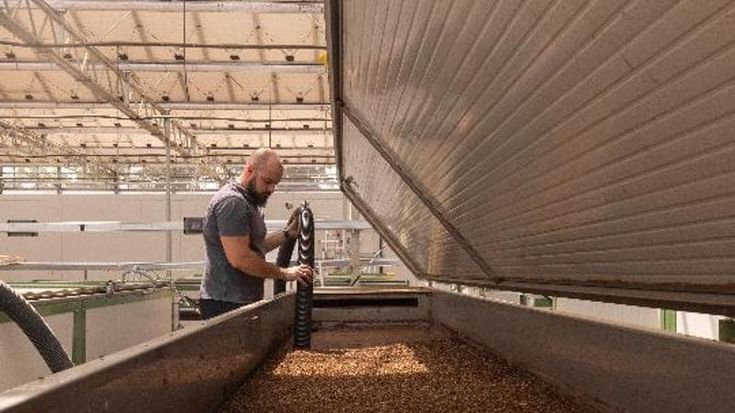 L’allevamento di insetti che taglia le emissioni