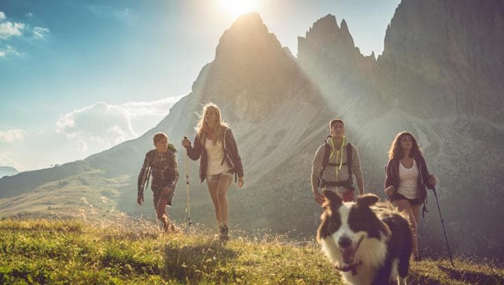 Cani in montagna, le regole per passeggiate in sicurezza