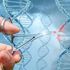 Successo della terapia genica anche per il cuore: riparate certe cardiomiopatie “scritte” nel DNA
