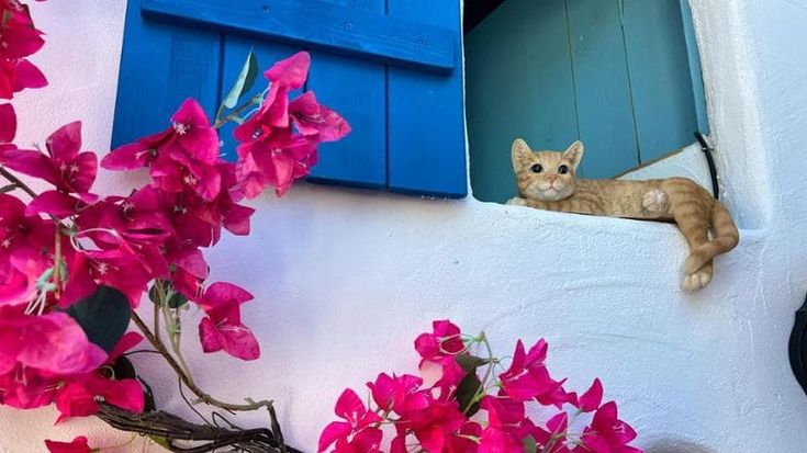 Trovare Santorini dove meno te l’aspetti. In Svizzera un giardino a tema fa il pieno di follower