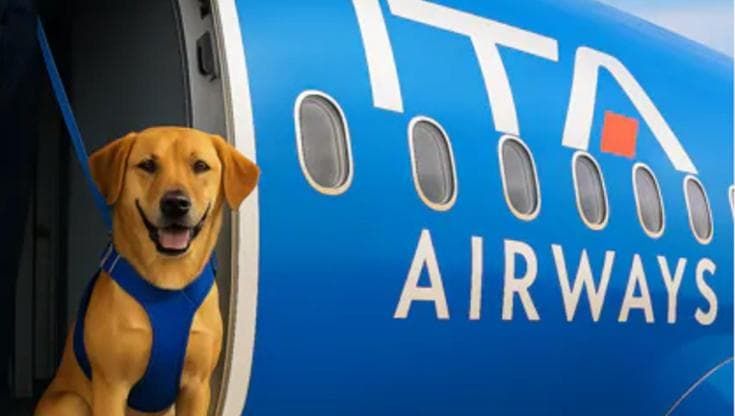Cani in cabina fino a 30 chili, con Ita il 4 zampe viaggia a bordo