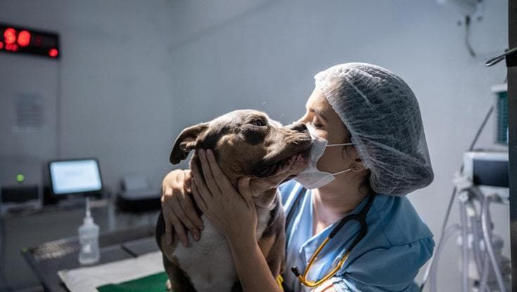 Creato il più vasto archivio dati al mondo sui tumori di cani e gatti