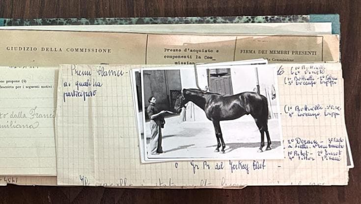 La storia del cavallo sardo custodita a Ozieri