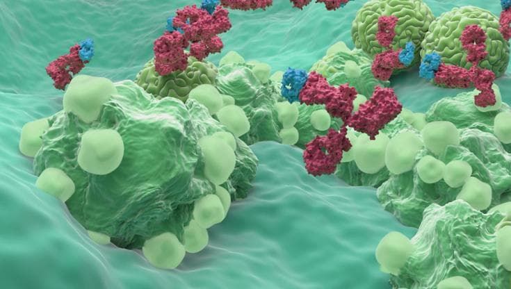 Tumore ovarico, arriva una nuova terapia mirata