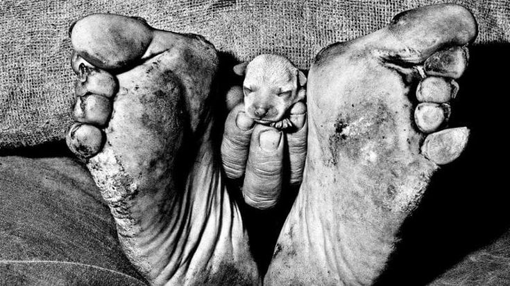 Roger Ballen: “Io sono il fotografo del buio”