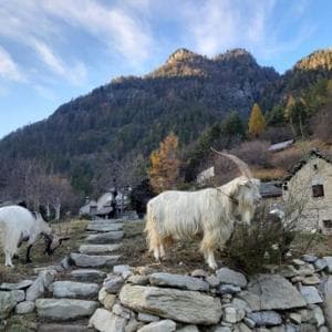 In gioco c’è un bene comune primario