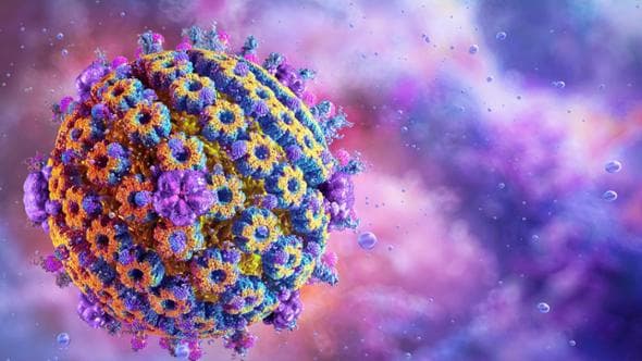 Herpes genitale, verso il primo vaccino efficace?