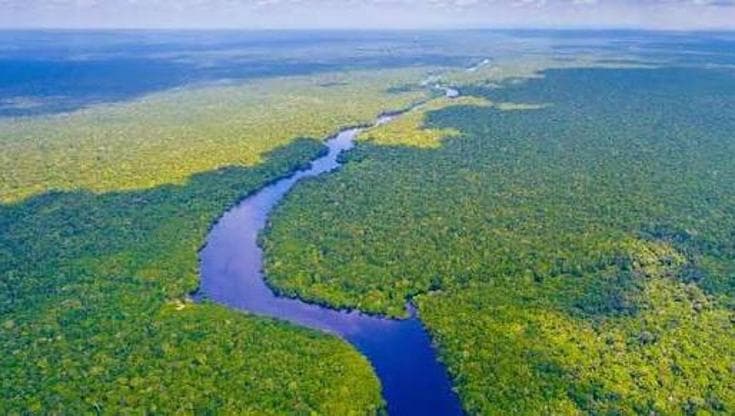 El Niño ridisegna il clima del pianeta. L’Amazzonia è il punto più fragile
