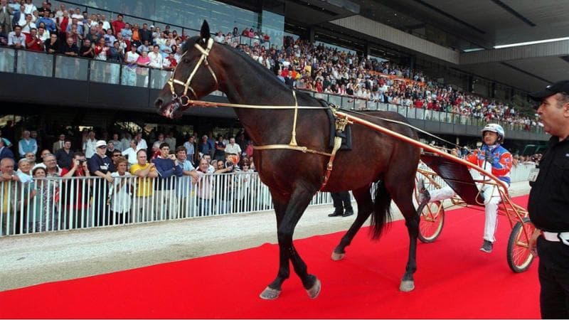 “Varenne ha migliaia di figli illegittimi in tutto il mondo”: truffa sul cavallo re del trotto, due indagati