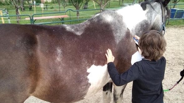 “Riding the Blue”, il successo di un progetto che tratta l’autismo con la sensibilità dei cavalli 