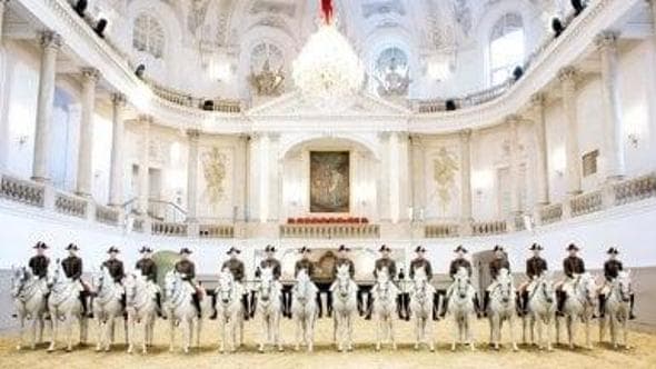La Scuola Spagnola di Vienna sotto inchiesta
