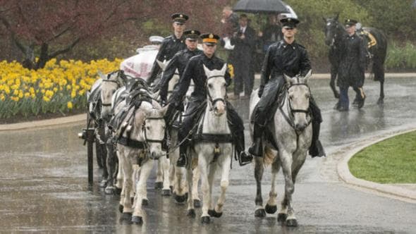 La storia più triste di Arlington, servizi funebri sospesi per proteggere i cavalli