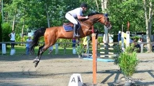 Vita da direttore in "equilibrio dinamico" tra arte e cavalli