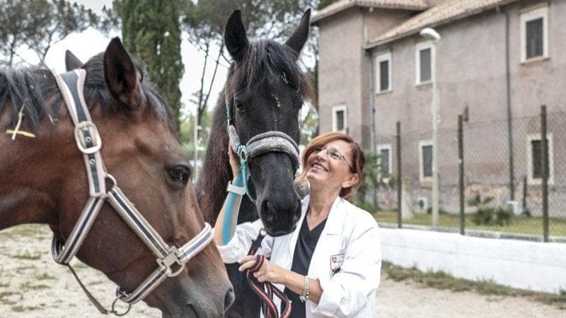 Ippoterapia ai Cavalieri di Malta. “Così torniamo in sella alla vita”