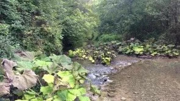 A cavallo lungo il fiume Farfa, paradiso della biodiversità Video