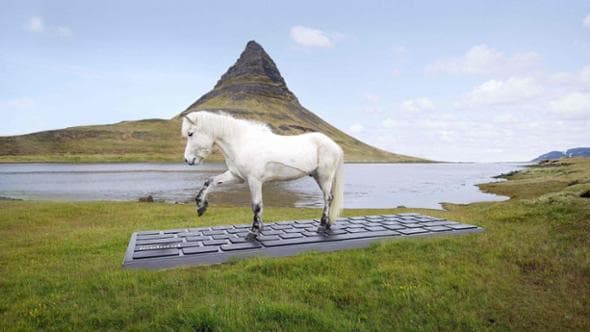 Islanda, tra ghiacci e geyser senza notifiche: un cavallo digita la risposta automatica alle mail