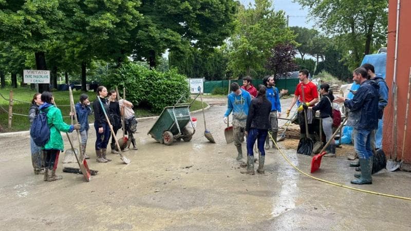 Il maneggio di Cesena salvato dai giovani volontari