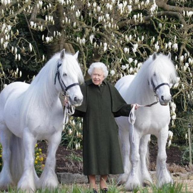 La regina Elisabetta festeggia i 96 anni in posa con due pony