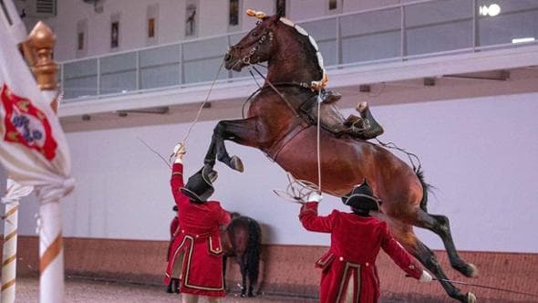 A Lisbona, dove i cavalli danzano al ritmo del fado