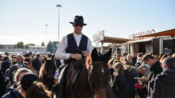 Verona città equestre: a Fieracavalli numeri record per dimenticare la pandemia