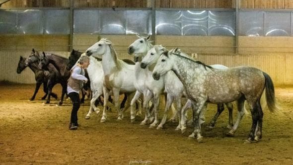 Il segreto di Pignon: “Per essere compresi dai cavalli siate dominanti con amore”