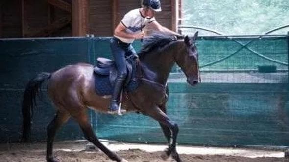Sport e benessere del cavallo, la scommessa di Luca Moneta