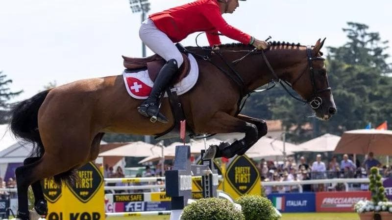 Steve Guerdat, stile e tecnica, leggerezza ed efficacia per dominare il Campionato d’Europa