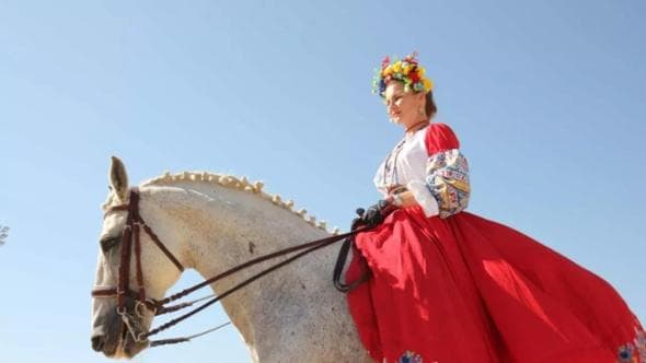 I cavalli tornano protagonisti a Palermo: dai cavalieri di Cordoba ai purosangue di Sicilia