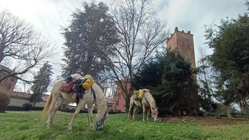 Dalle Alpi all’Etna, la sfida di Paola l’amazzone (e dei suoi due cavalli) per l’8 Marzo