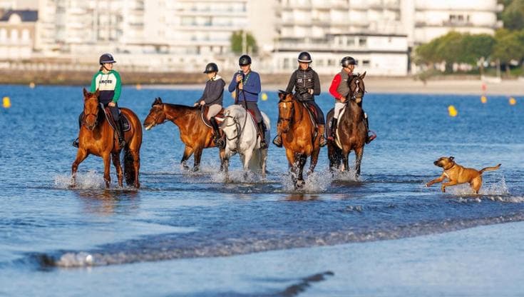 Rolex Series, l’aristocrazia equestre si sfida in sei gare mozzafiato