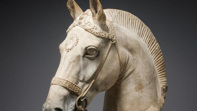 Il caso della falsa testa di cavallo Medici-Ricciardi