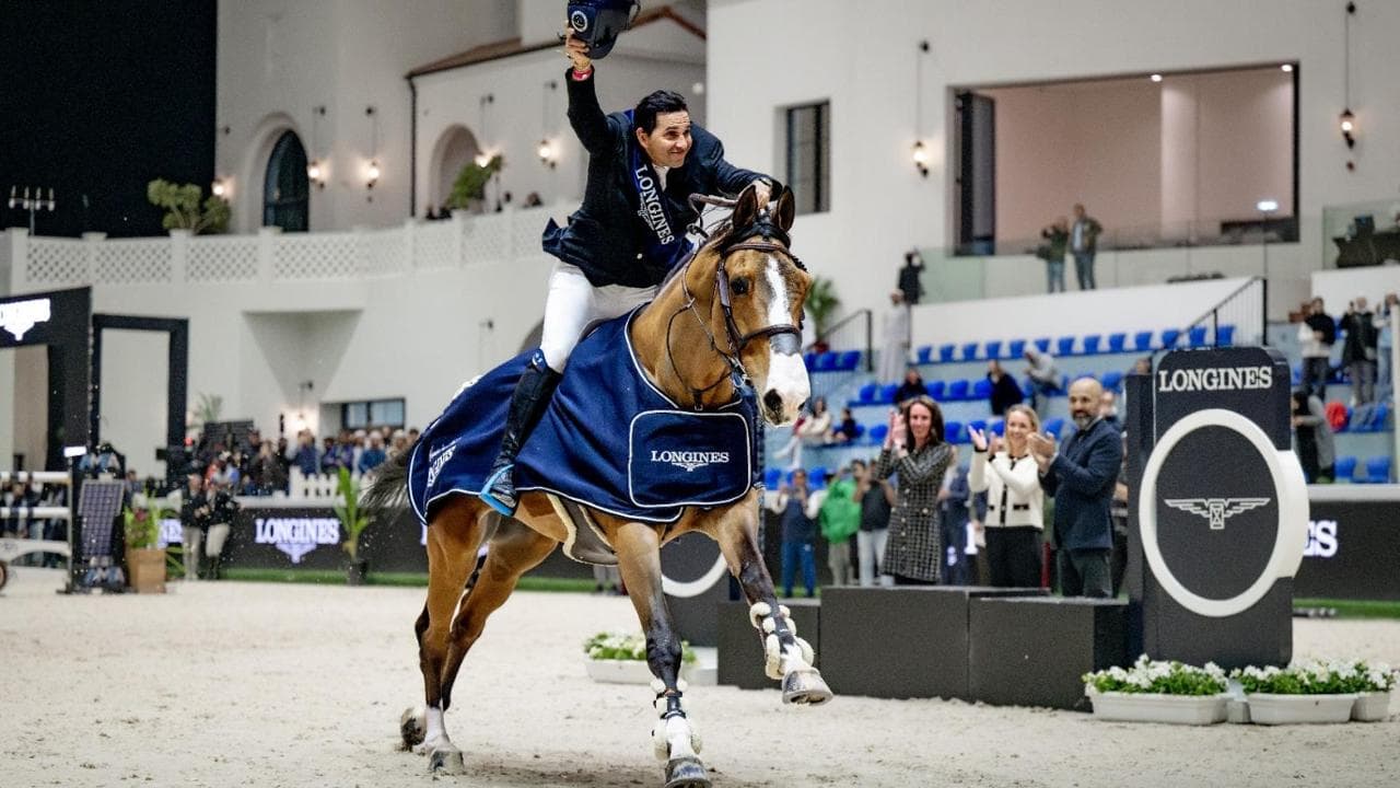 Guido Grimaldi, l’armatore che conquistò il mondo con un cavallo