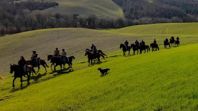 Parte il raduno del Giubileo, nuova spinta al turismo equestre