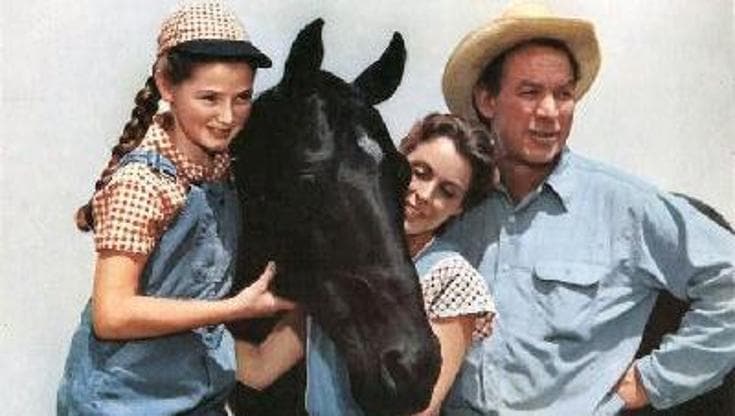 I 70 anni di Furia, il cavallo più famoso del west (e della tv)
