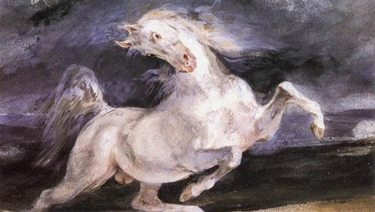 I cavalli annusano le nostre emozioni, ecco la prova