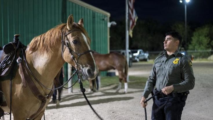 Nell’era Trump anche i cavalli da parata diventano agenti dell’Ice