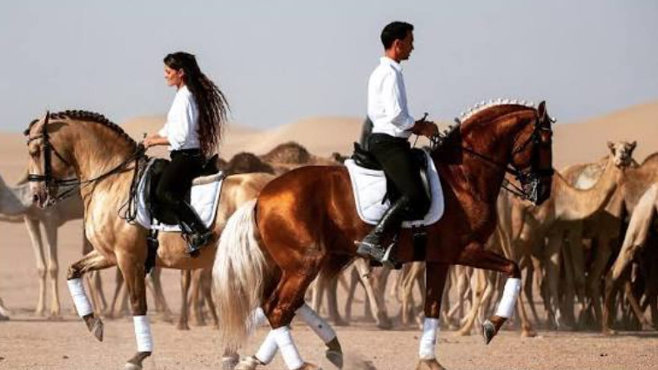 Dal teatro equestre allo spettacolo dei coniugi Gonzalez, va in scena il Gran Galà  di Cascia