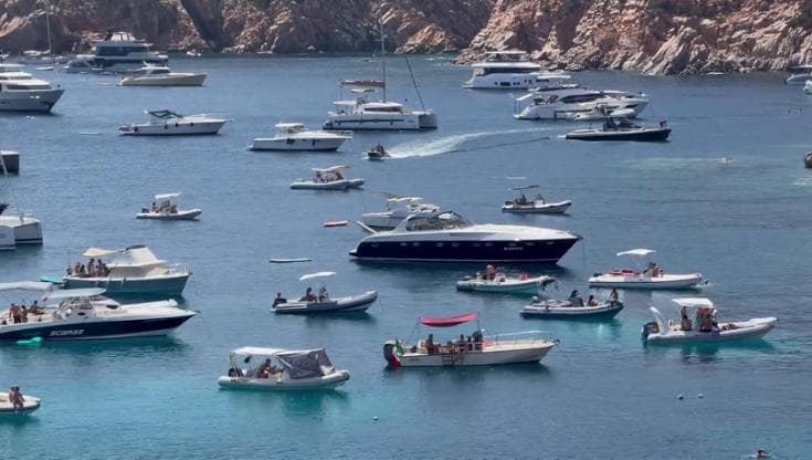 Sardegna, l'assalto alle spiagge tutelate: "Servono controlli. Le ancore stanno uccidendo la Posidonia"