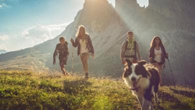 Cani in montagna, le regole per passeggiate in sicurezza