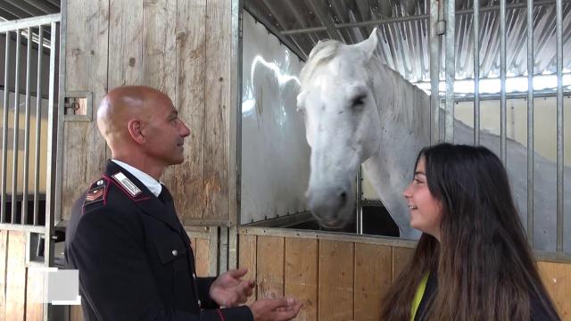 In gara insieme a Piazza di Siena, Elisa e Bruno Chimirri: "Il mio netto guardando papà"